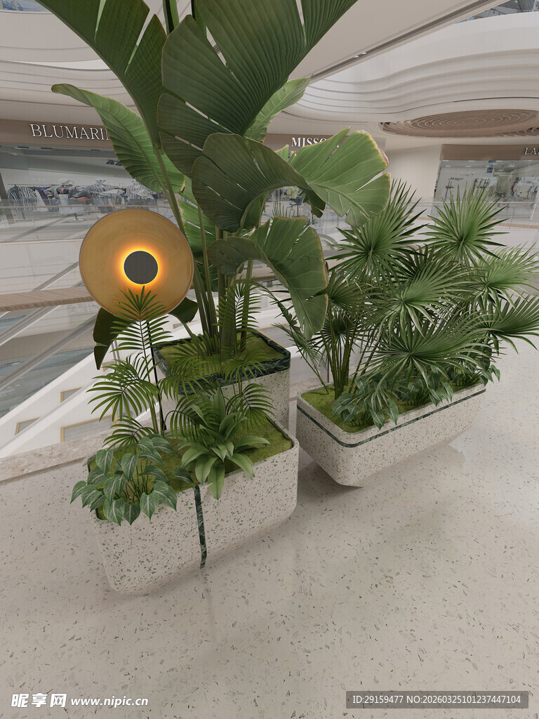 室内绿植装饰场景