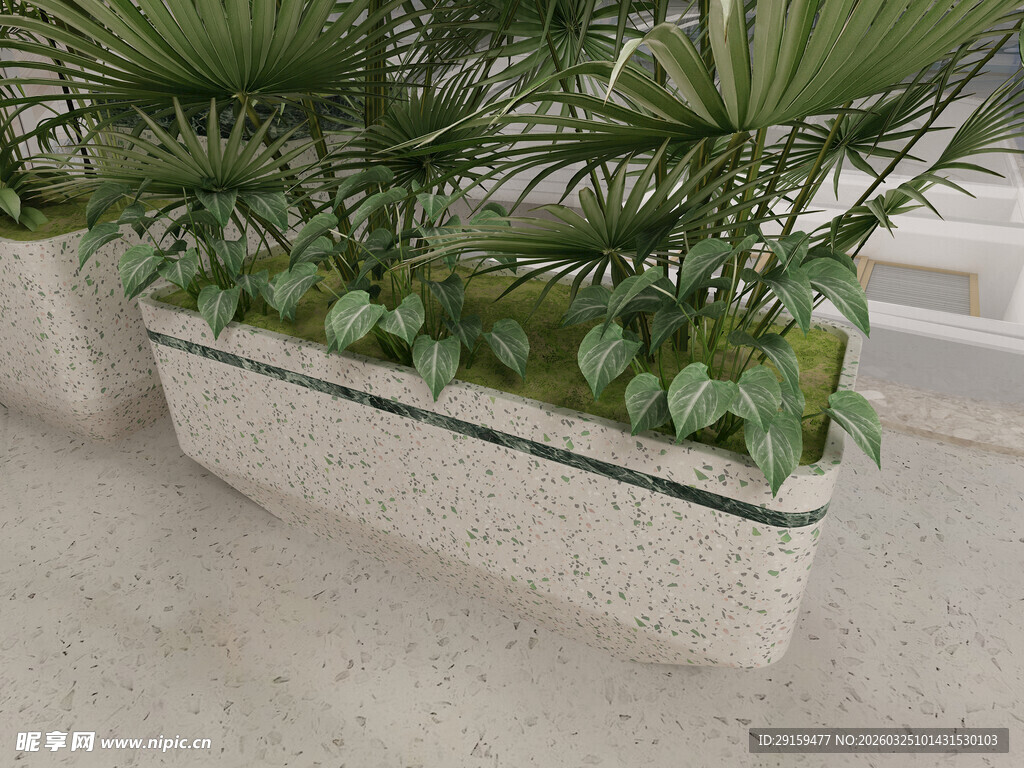 户外石质花箱中的绿植