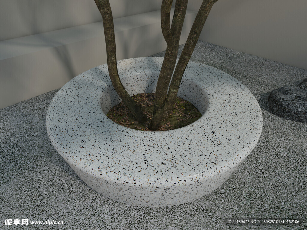 石制花盆中的植物