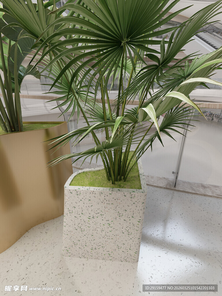 室内绿植方形花盆景观