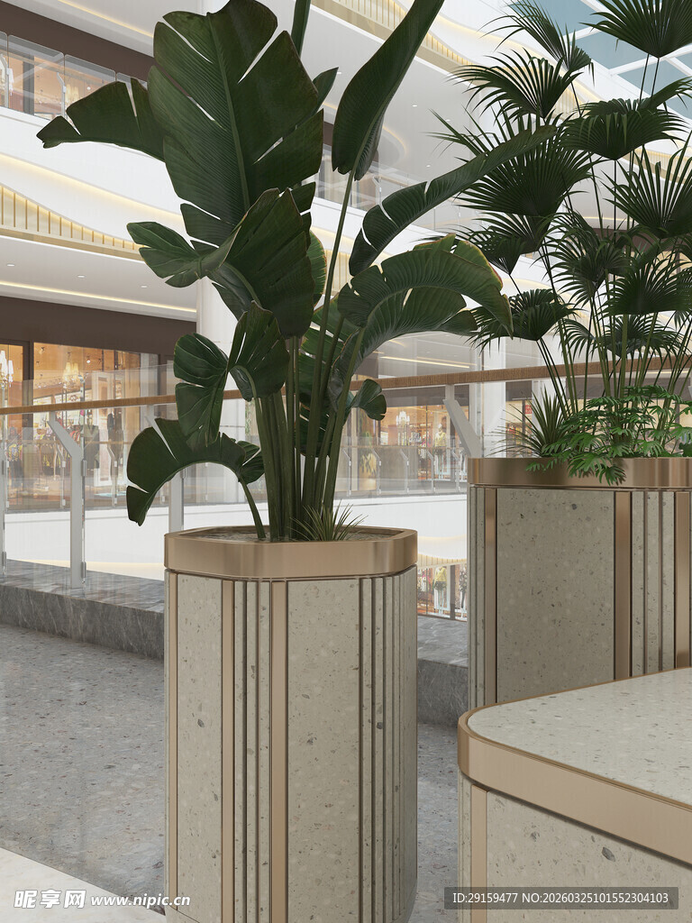 商场内的大型绿植装饰