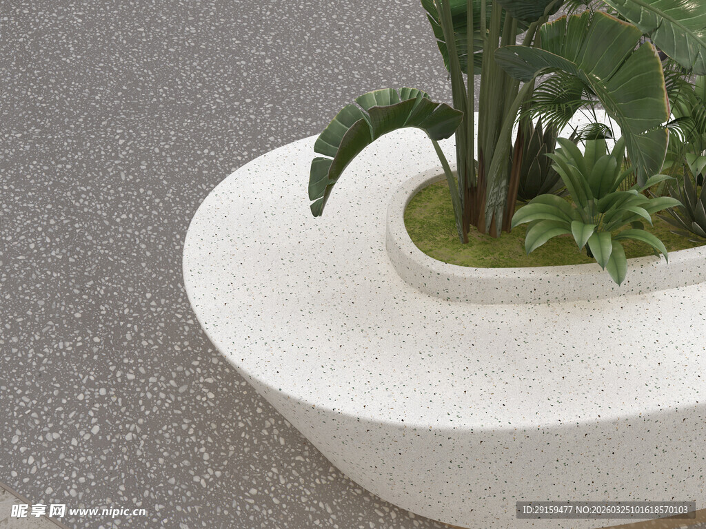 白色弧形花盆中的绿植