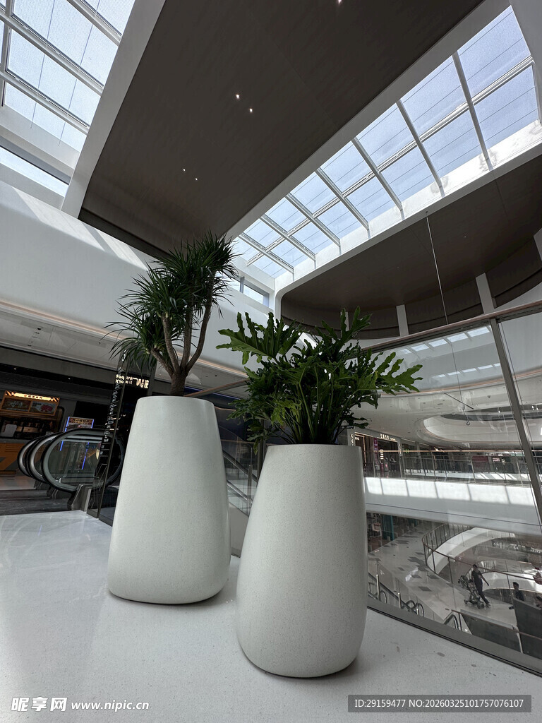 室内现代风格白色花盆绿植