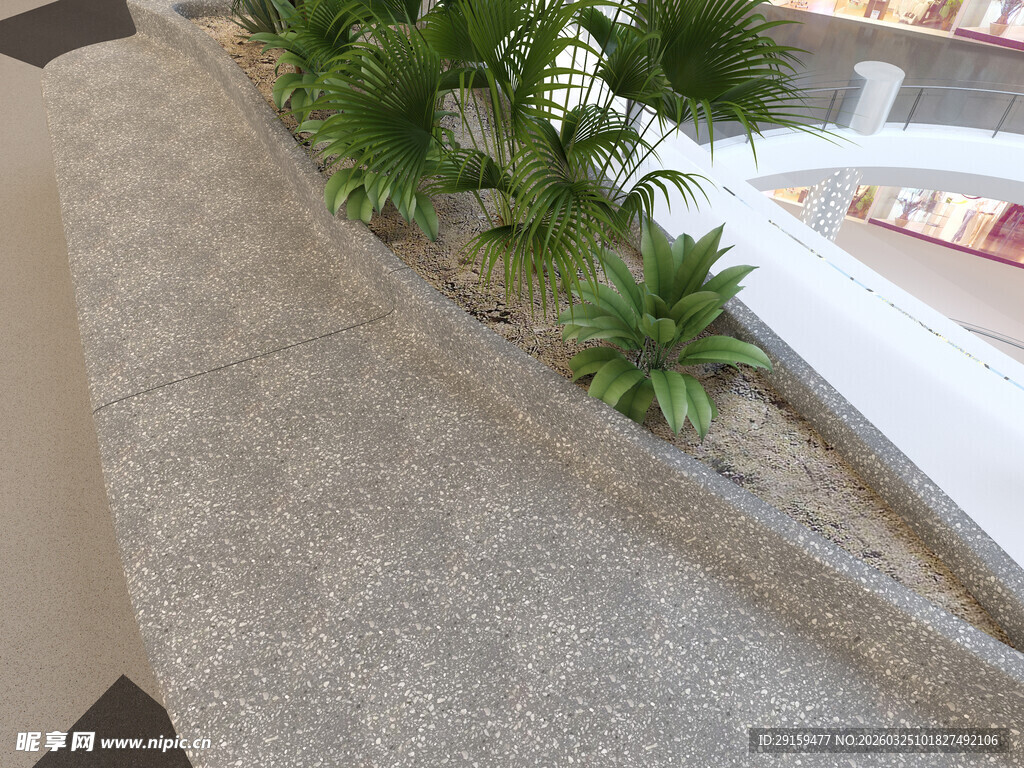 室内灰色花坛中的绿植