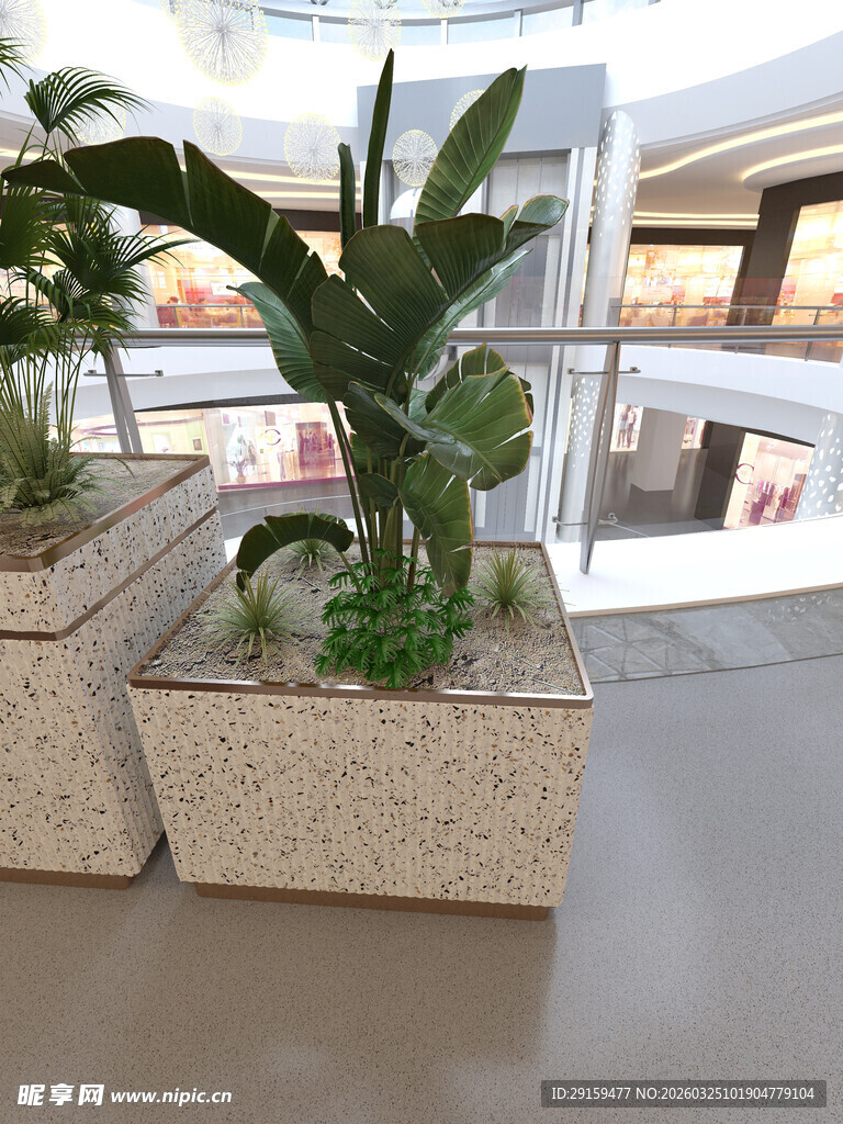 室内精致盆栽组合