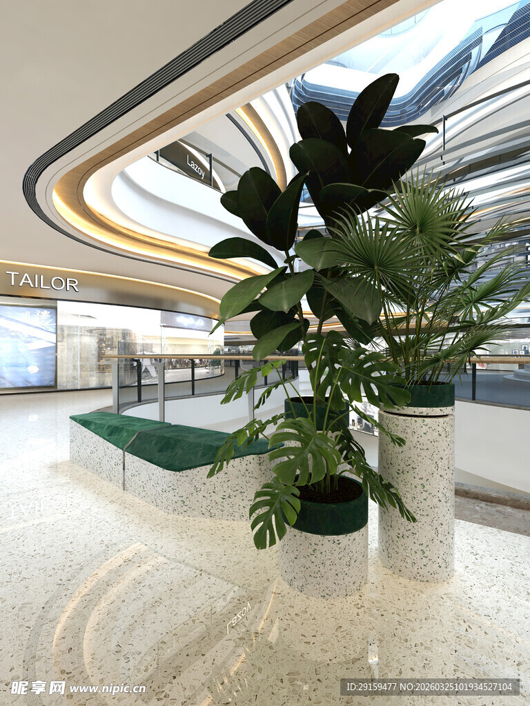 室内绿植装饰的优雅空间