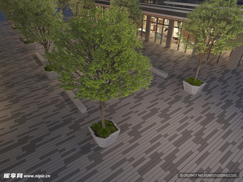 户外绿植装点的木质步道