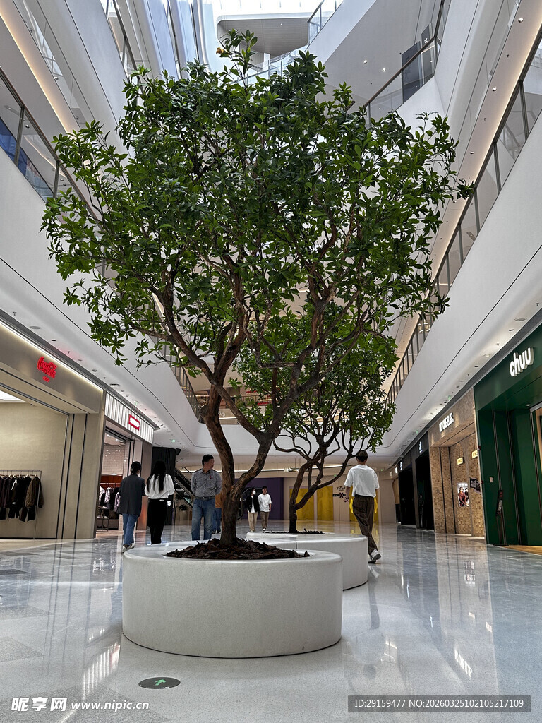 商场内的繁茂绿植景观