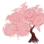粉色樱花树插画