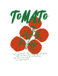 手绘番茄插画
