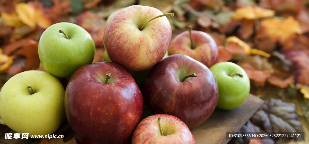 多彩苹果与落叶的秋日景象