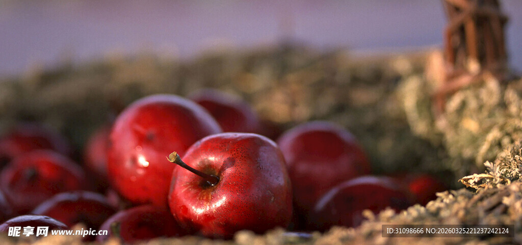 红苹果