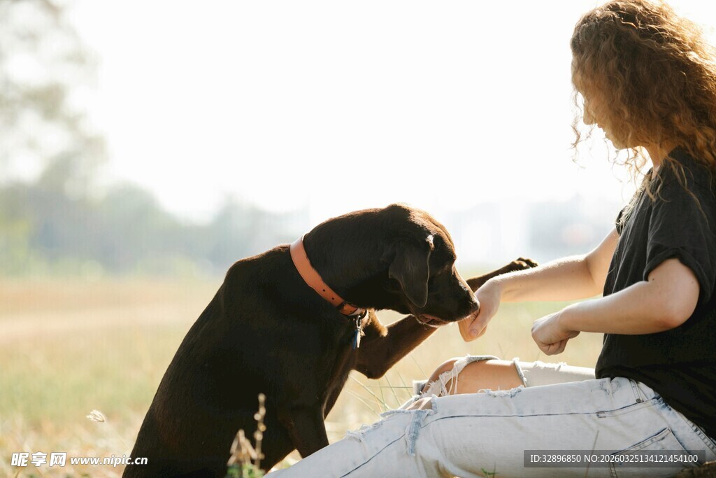 女子与黑狗温馨互动