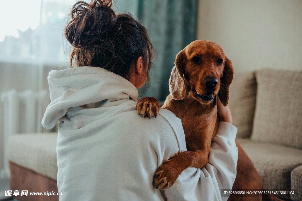 女子与腊肠犬温馨相伴