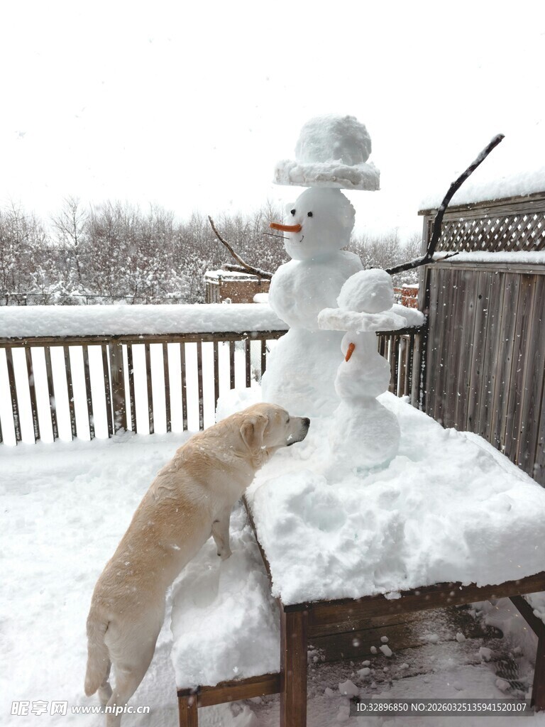 狗狗与雪人互动的冬日场景