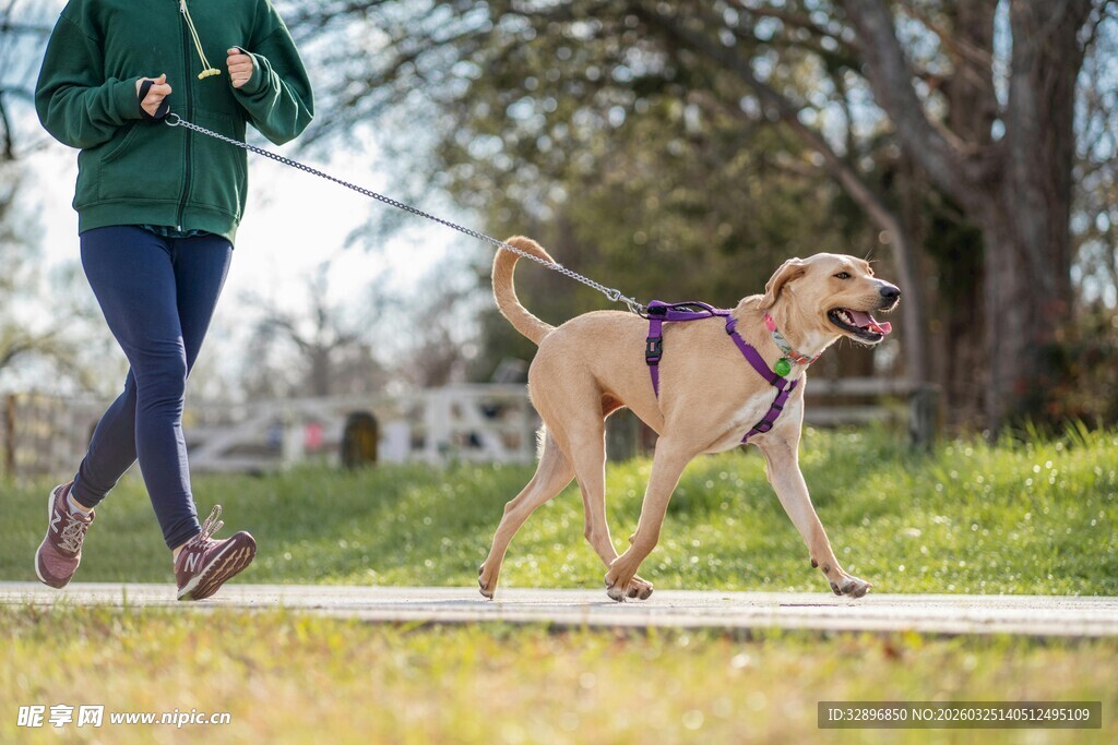 女子户外遛狗享受休闲时光