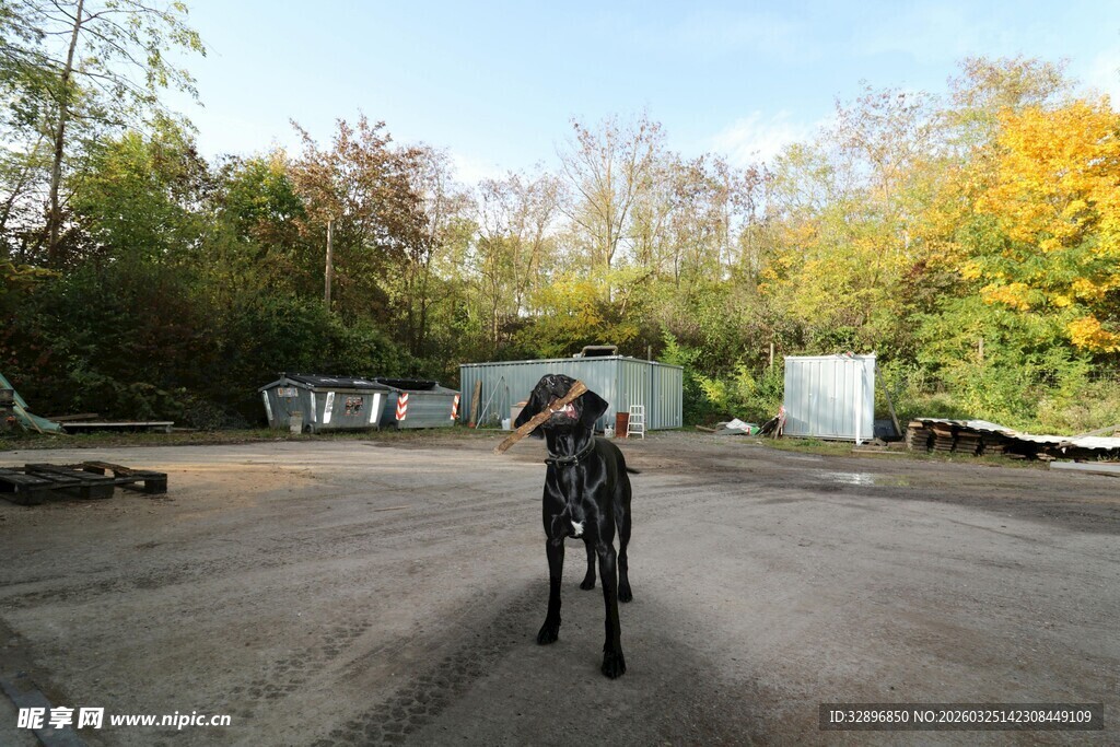 户外骑行者于开阔场地