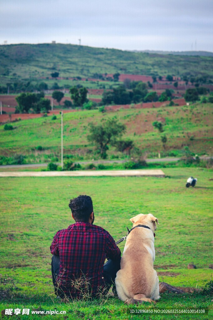 人与狗共赏田园美景