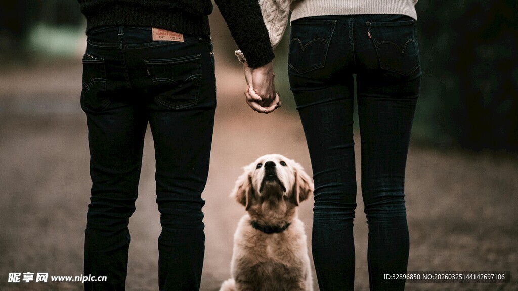 情侣牵手与萌犬温馨画面