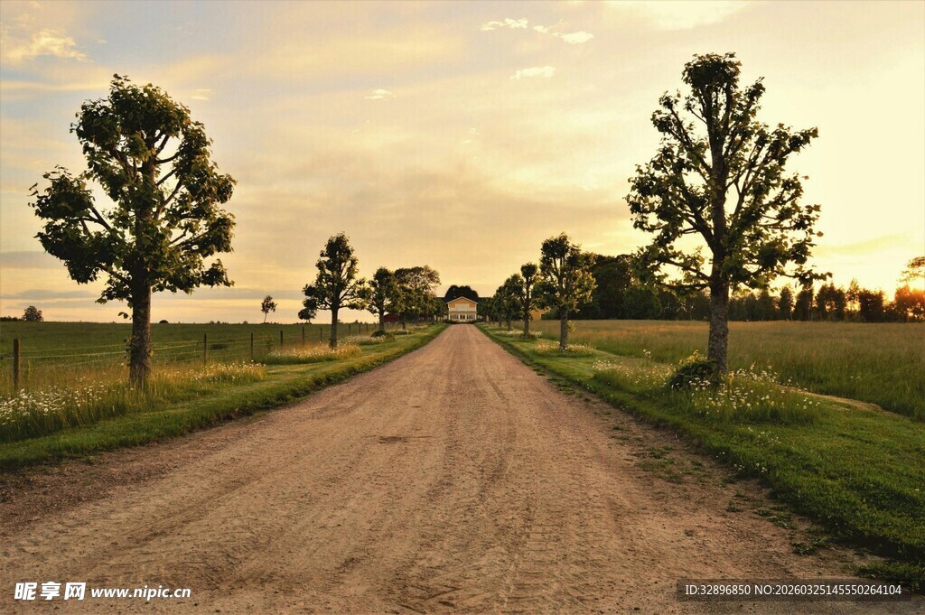 乡村土路夕阳下的静谧风景