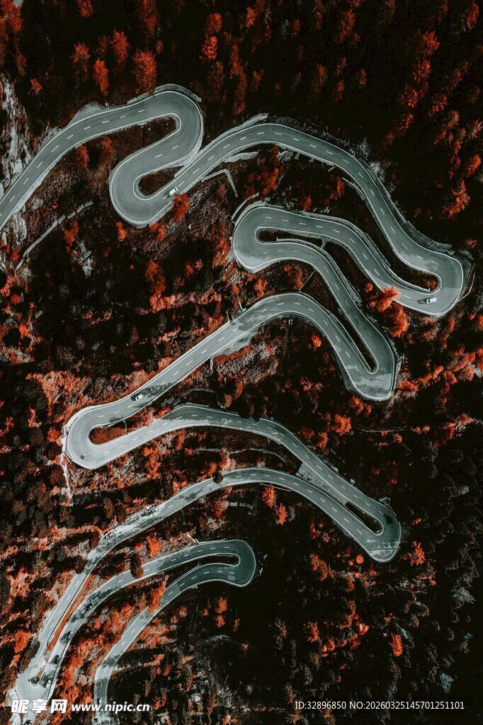 蜿蜒山路穿行于斑斓秋色