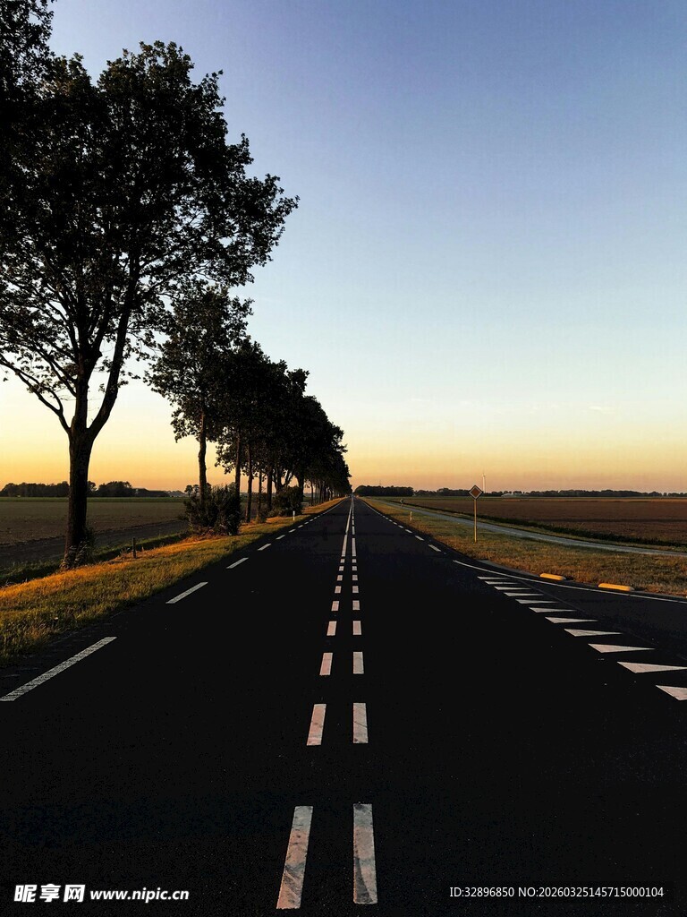 黄昏下的公路与树木