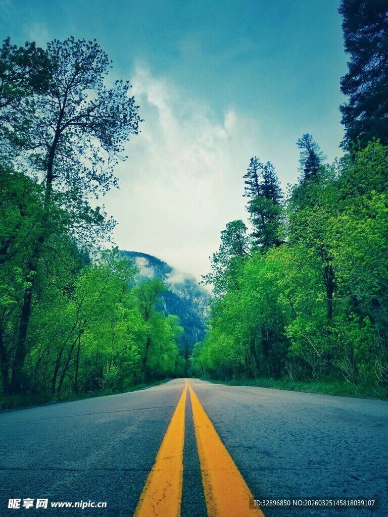 林间公路开启美好旅程