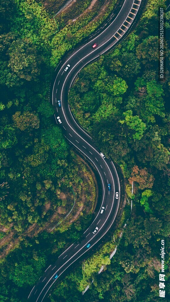 蜿蜒公路穿梭于翠绿山林