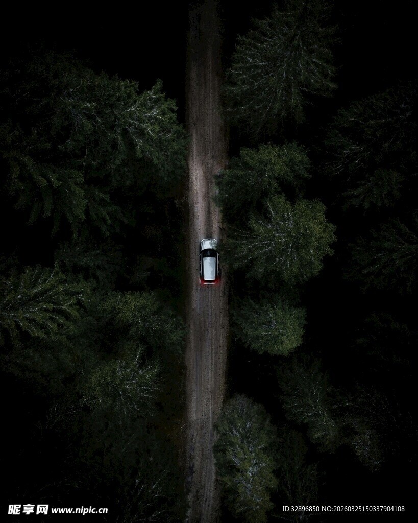 林间公路上的孤独骑行者