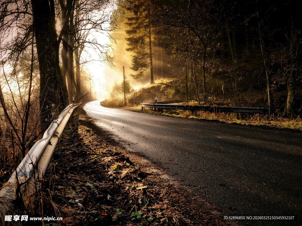 林间公路迎晨曦