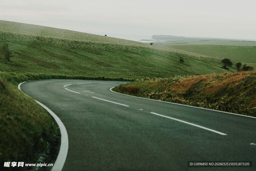 蜿蜒于绿野间的公路
