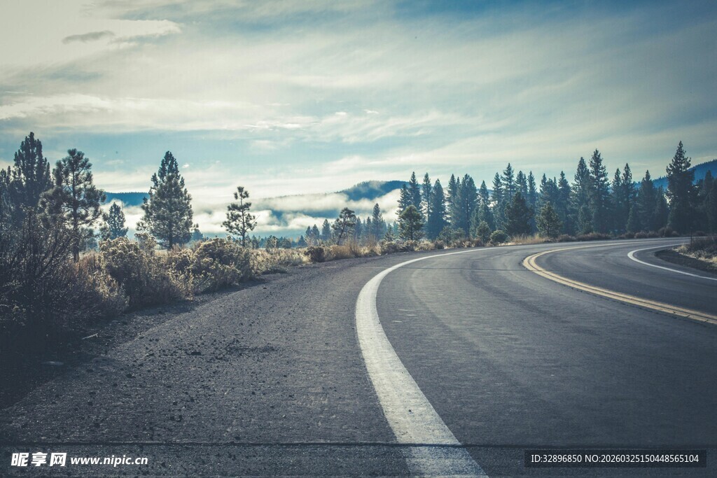 蜿蜒公路旁的葱郁景致