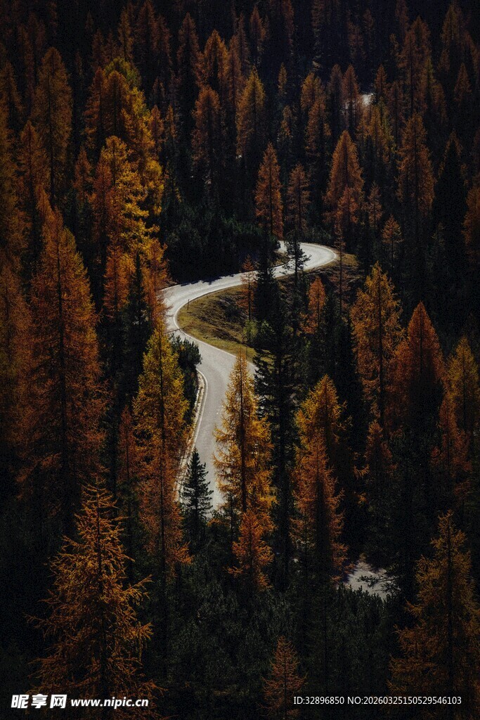 山林间蜿蜒的静谧小路