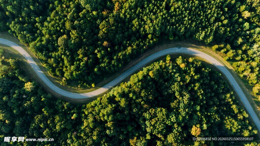 蜿蜒公路穿梭翠绿山林