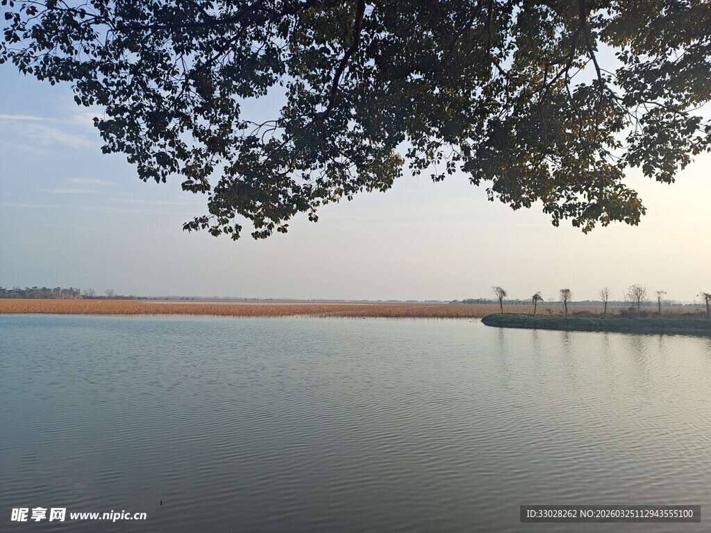 潜江返湾湖湿地公园