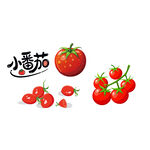 小番茄卡通