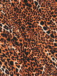 豹纹图案纹理背景