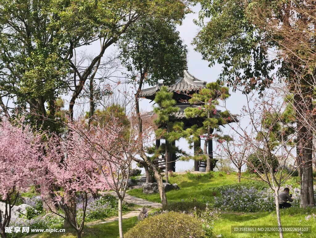 春日园林美景