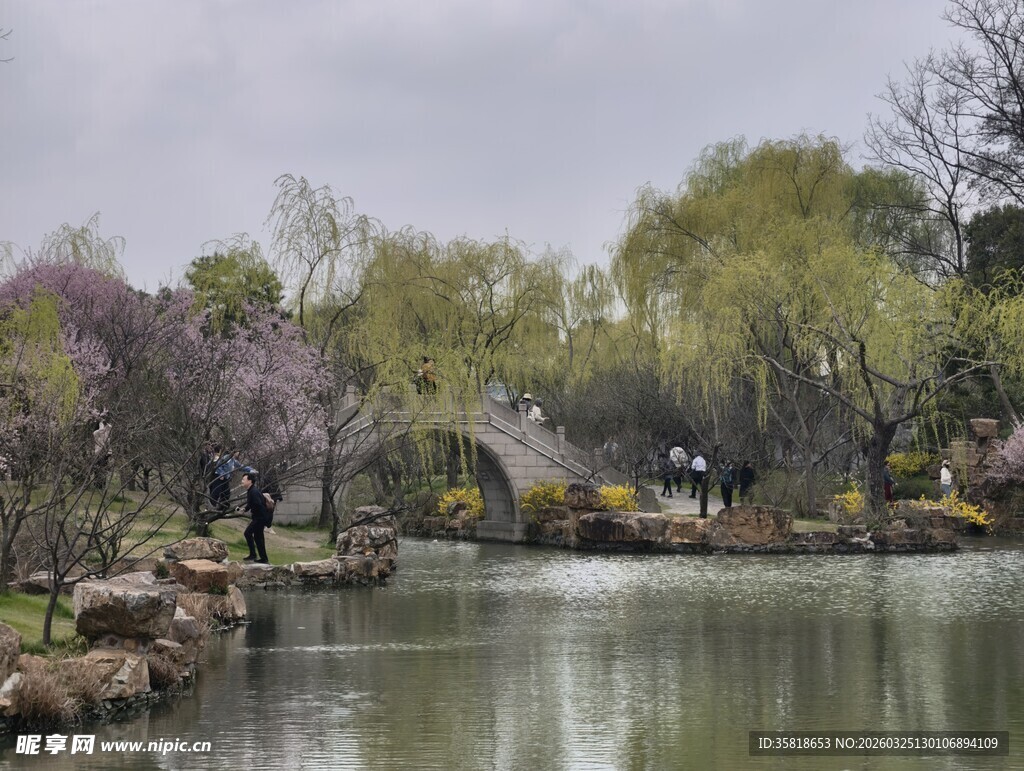 江南园林湖畔春日美景
