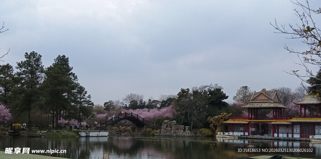 湖畔春景 繁花绿树映亭阁