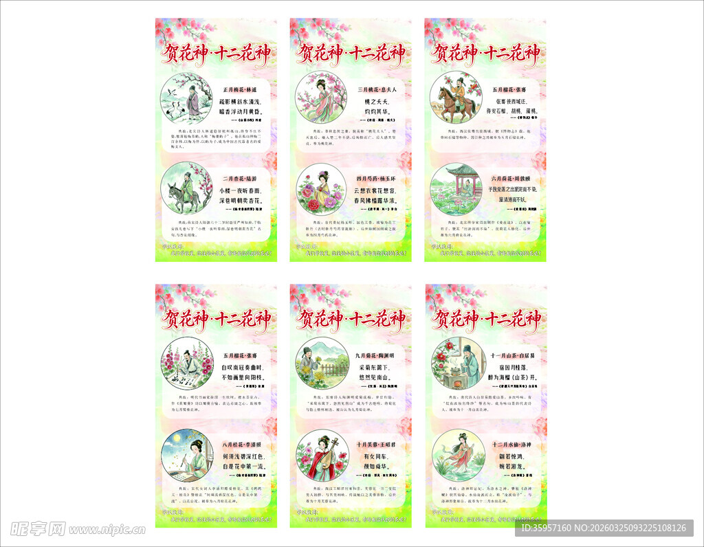 十二花神 展板 挂画
