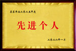先进个人荣誉证书奖牌