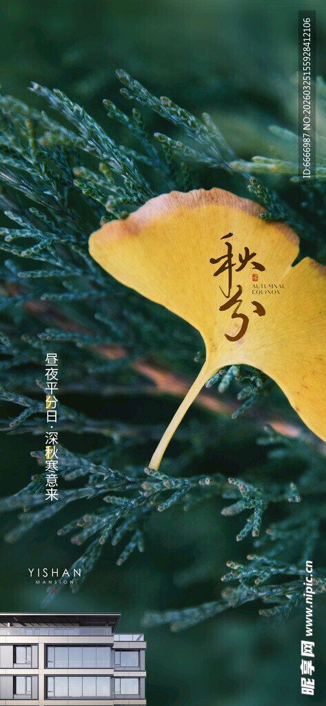 枝头黄叶伴绿植