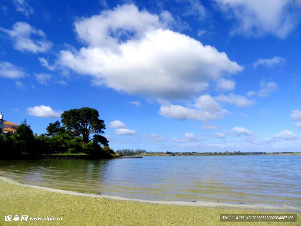 奥克兰海湾风光