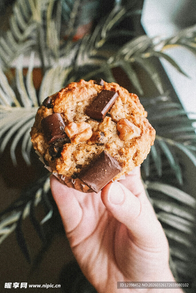 饼干