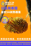 金枕A级榴莲新鲜饱满