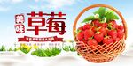 草莓宣传