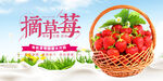 摘草莓