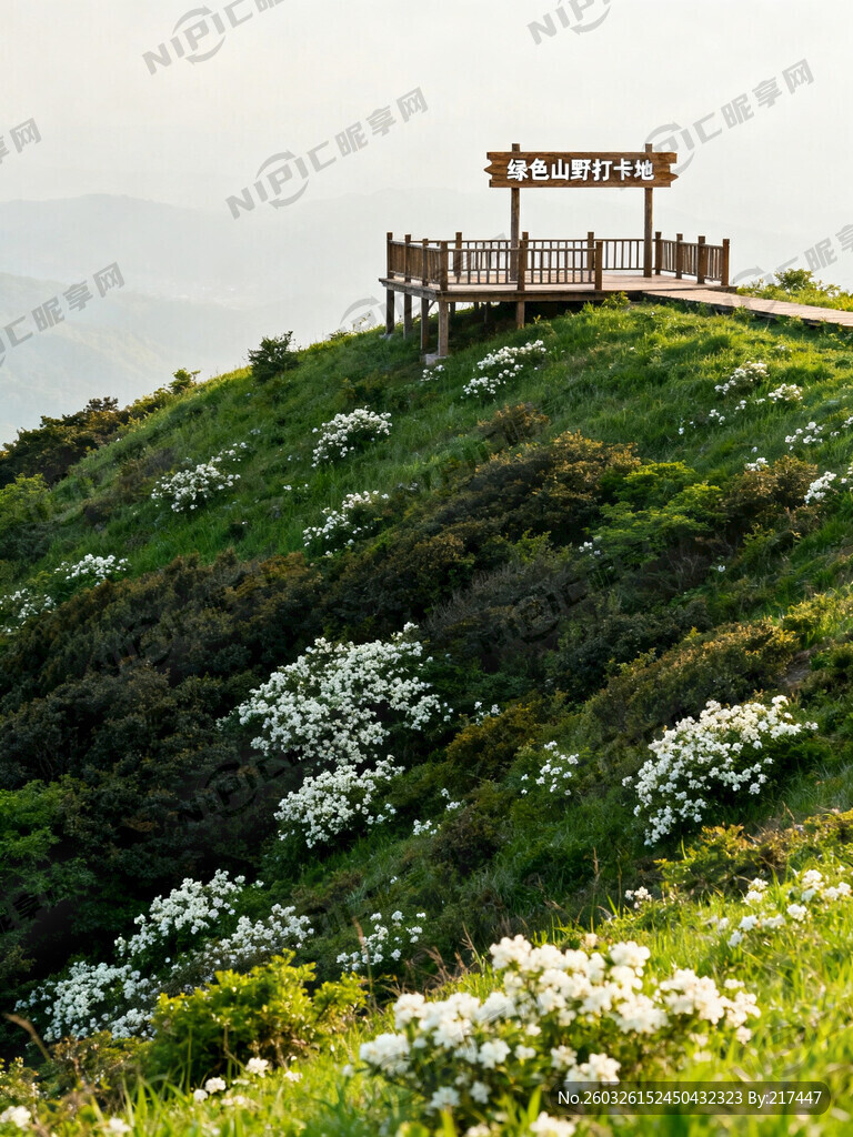 绿色山野打卡地