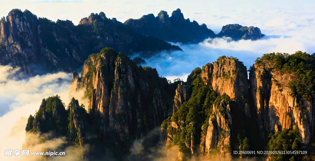 壮丽黄山云海景观